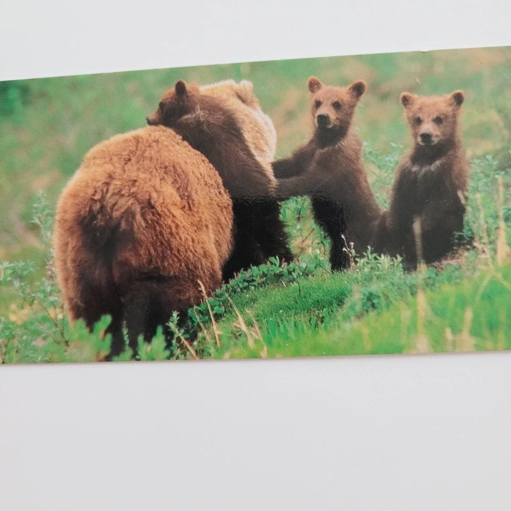 Vintage Y2K Denali Park Bookmark Grizzly Bears Patrick Enders Korea Impact 48690